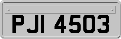 PJI4503