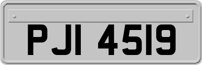 PJI4519