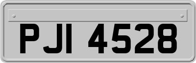 PJI4528
