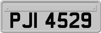 PJI4529