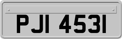 PJI4531