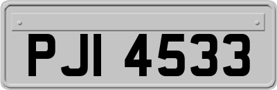 PJI4533