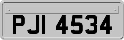 PJI4534