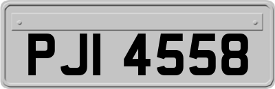 PJI4558