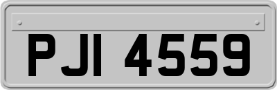PJI4559