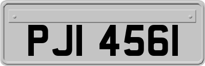 PJI4561