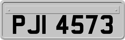 PJI4573