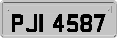 PJI4587