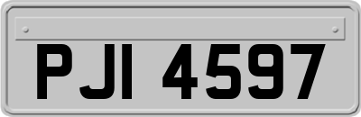 PJI4597