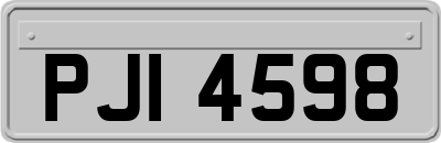 PJI4598