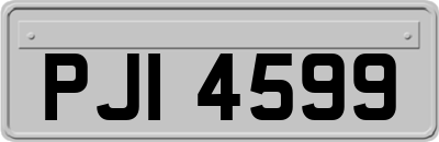 PJI4599