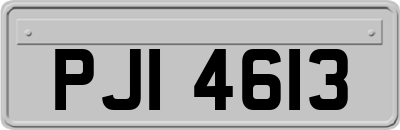 PJI4613