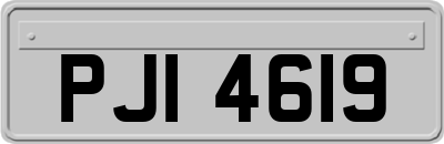 PJI4619