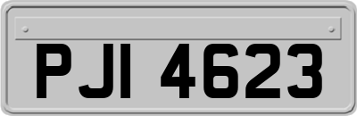 PJI4623