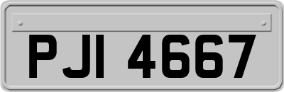 PJI4667
