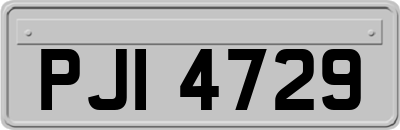 PJI4729