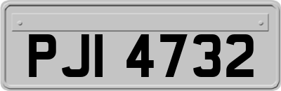 PJI4732