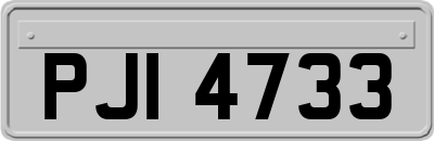PJI4733