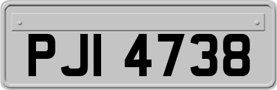 PJI4738