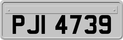 PJI4739