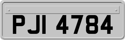 PJI4784