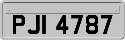 PJI4787