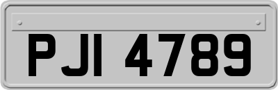 PJI4789