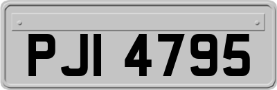 PJI4795