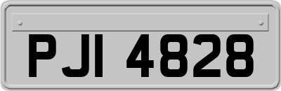 PJI4828