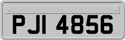 PJI4856