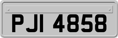 PJI4858