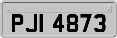 PJI4873