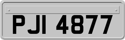 PJI4877
