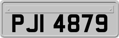 PJI4879