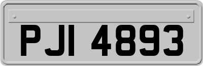 PJI4893