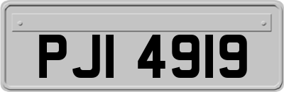 PJI4919