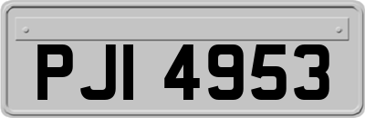 PJI4953