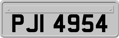 PJI4954