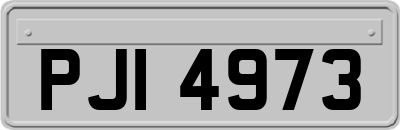 PJI4973