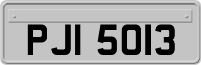 PJI5013
