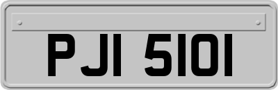 PJI5101