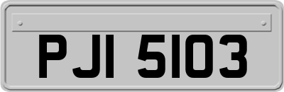 PJI5103