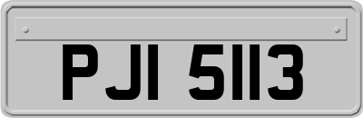 PJI5113