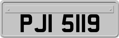 PJI5119