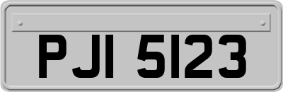 PJI5123