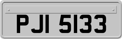 PJI5133