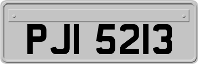 PJI5213