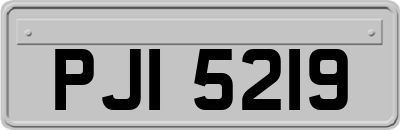 PJI5219