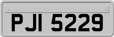 PJI5229