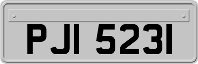 PJI5231
